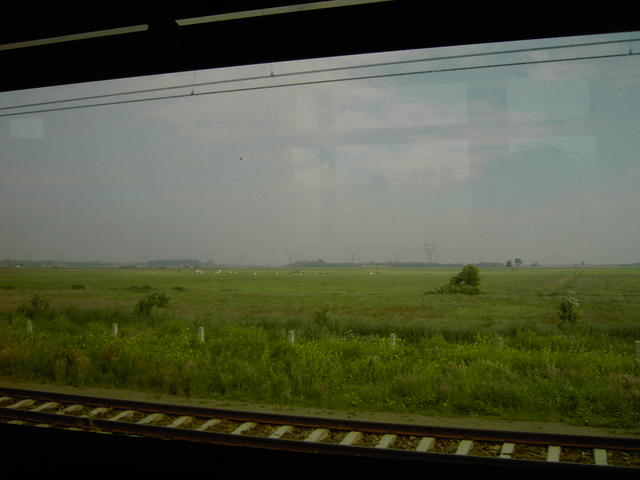 pict5397